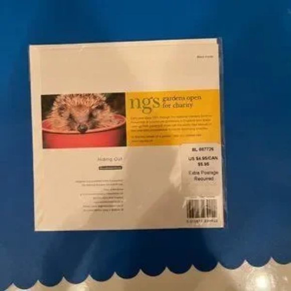 Friendship Greeting Cards / Blank / Encouragement (Bundle of 5 cards) (new) - Picture 10 of 12